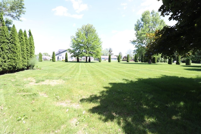245 N Linn St, Princeton, IL 61356 - view of green lawn