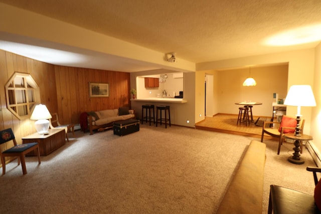 245 N Linn St, Princeton, IL 61356 - carpeted living room with wood walls, bar area, and baseboards