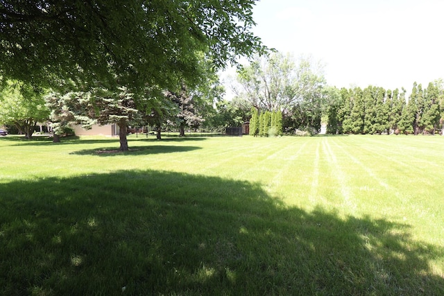 245 N Linn St, Princeton, IL 61356 - view of green lawn