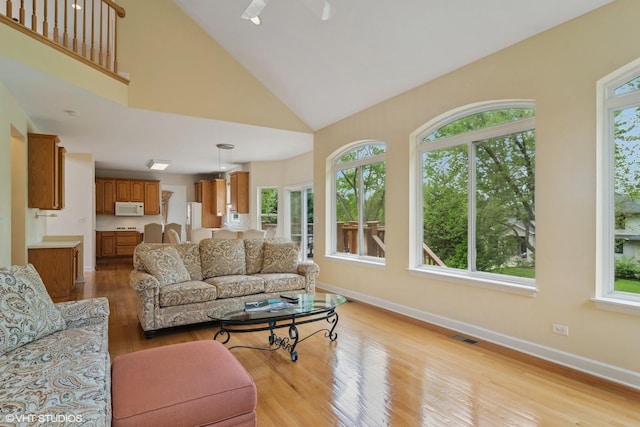 1048 N Palos Ave, Palatine, IL 60067 - living room featuring plenty of natural light, light wood-style floors, baseboards, and high vaulted ceiling