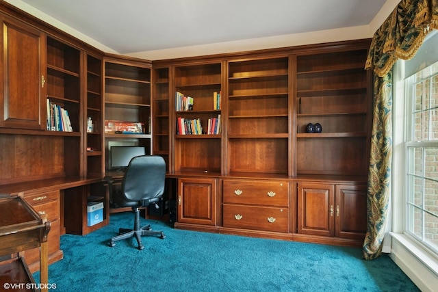 1048 N Palos Ave, Palatine, IL 60067 - carpeted office space featuring built in study area and plenty of natural light