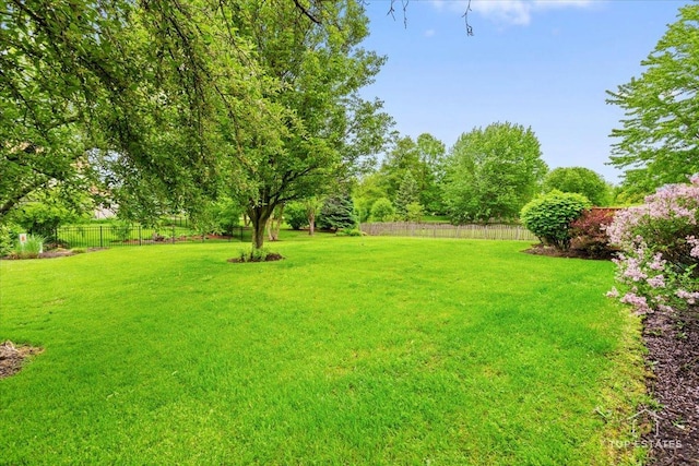 1748 Pinnacle Dr, Aurora, IL 60502 - view of yard