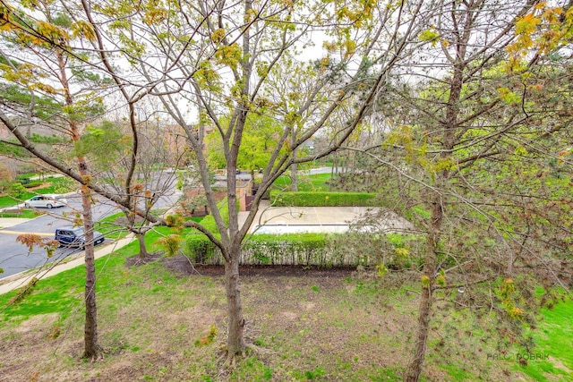 1088 Shermer Rd Unit 307, Northbrook, IL 60062 - view of yard
