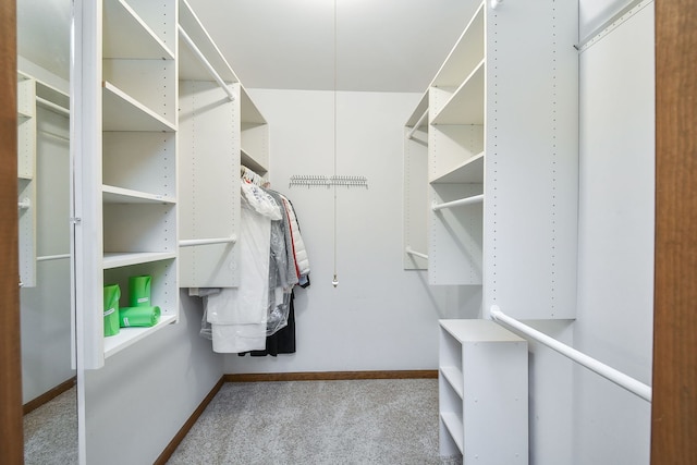 624 Joshua Ct, Naperville, IL 60540 - spacious closet with carpet