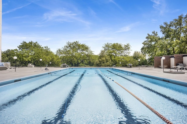 5455 N Sheridan Rd Unit 3611, Chicago, IL 60640 - community pool featuring a patio and view of wooded area