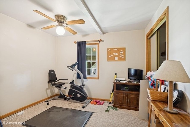 5115 Greenwood Pl, Mccullom Lake, IL 60050 - exercise room featuring a ceiling fan, baseboards, and carpet