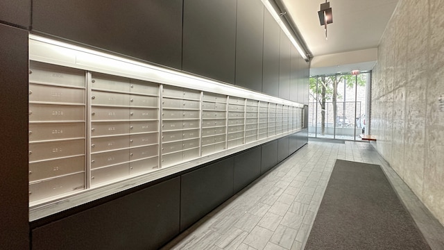 1720 S Michigan Ave Unit 1711, Chicago, IL 60616 - view of home's community featuring mail area
