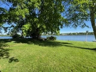 110 Martin Dr, Rock Falls, IL 61071 - view of grassy yard with a water view