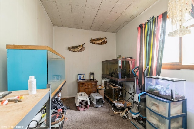 10 S Hickory Ave, Fox Lake, IL 60020 - view of storage area