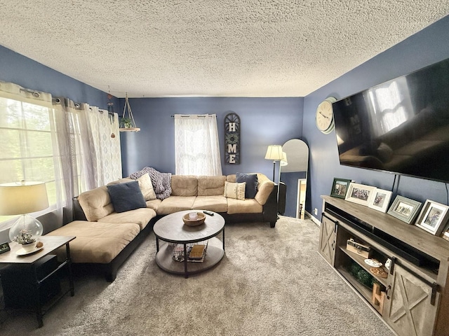 1010 Brentwood Rd, Machesney Park, IL 61115 - living area with carpet floors, a textured ceiling, and arched walkways
