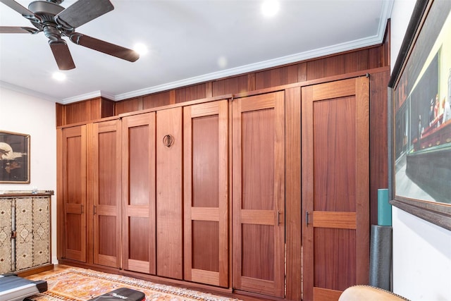 detailed view of crown molding and a ceiling fan