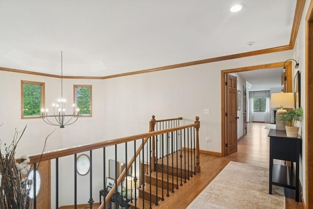 22902 W Lochanora Dr, Hawthorn Woods, IL 60047 - corridor featuring a chandelier, wood finished floors, an upstairs landing, baseboards, and ornamental molding