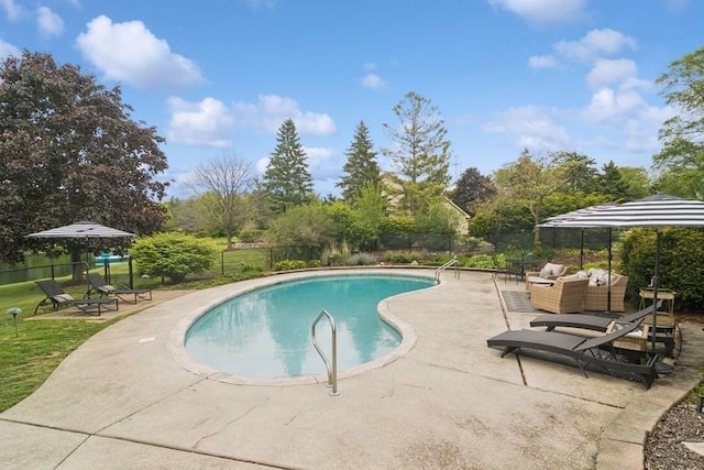 22902 W Lochanora Dr, Hawthorn Woods, IL 60047 - view of pool with a patio area and outdoor lounge area