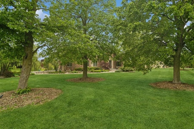 22902 W Lochanora Dr, Hawthorn Woods, IL 60047 - view of green lawn