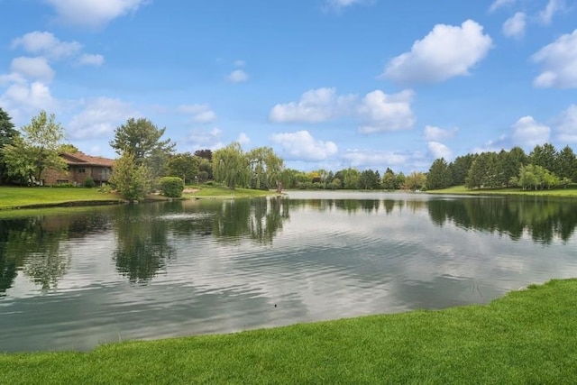 22902 W Lochanora Dr, Hawthorn Woods, IL 60047 - water view