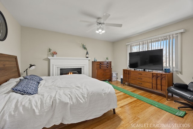 647 Glacier Trl, Roselle, IL 60172 - bedroom featuring wood finished floors, a glass covered fireplace, and ceiling fan