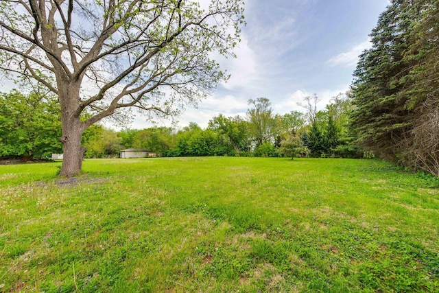 16112 W Woodbine Cir, Vernon Hills, IL 60061 - photo 32