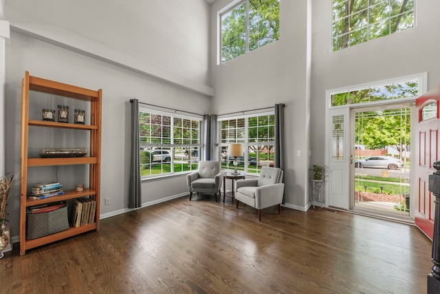 1876 Ione Ln, Aurora, IL 60503 - living area featuring a high ceiling, wood finished floors, and baseboards