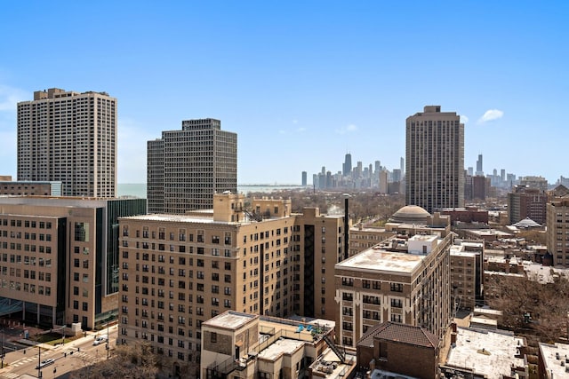 431 W Oakdale Ave Unit 1C, Chicago, IL 60657 - view of city
