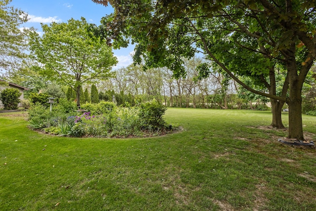 2841 E Pine Dr, Crete, IL 60417 - view of green lawn