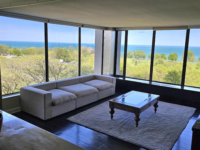 5455 N Sheridan Rd Unit 901, Chicago, IL 60640 - living area with wood-type flooring, a water view, and healthy amount of natural light