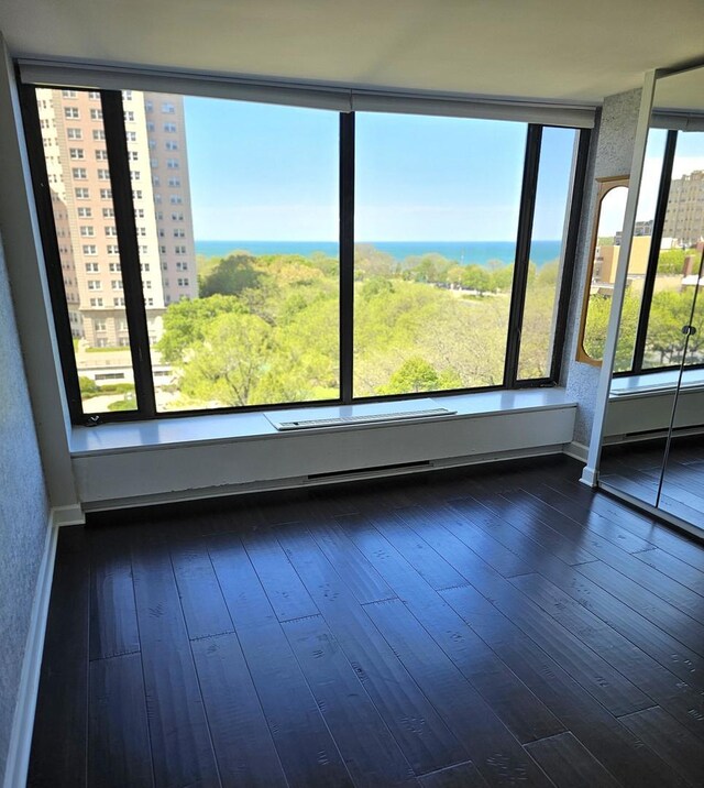 5455 N Sheridan Rd Unit 901, Chicago, IL 60640 - spare room featuring plenty of natural light, dark wood-style flooring, and baseboards