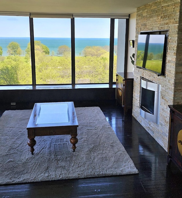 5455 N Sheridan Rd Unit 901, Chicago, IL 60640 - living area featuring dark wood finished floors and a glass covered fireplace