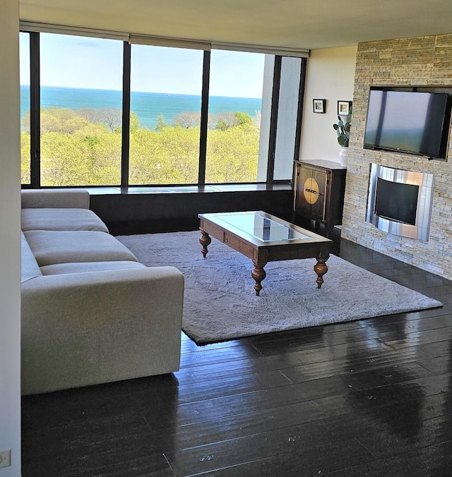 5455 N Sheridan Rd Unit 901, Chicago, IL 60640 - living area with hardwood / wood-style floors and a fireplace