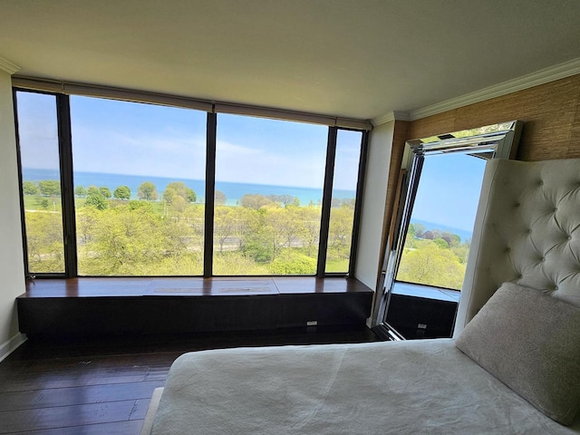 5455 N Sheridan Rd Unit 901, Chicago, IL 60640 - bedroom featuring hardwood / wood-style floors and crown molding