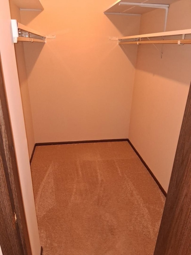 1702 Mill St Unit 502, Des Plaines, IL 60016 - walk in closet with carpet flooring