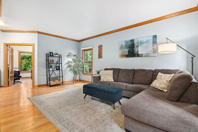 1284 N Jack Pine Ct, Palatine, IL 60067 - living room with light wood-type flooring, ornamental molding, and baseboards