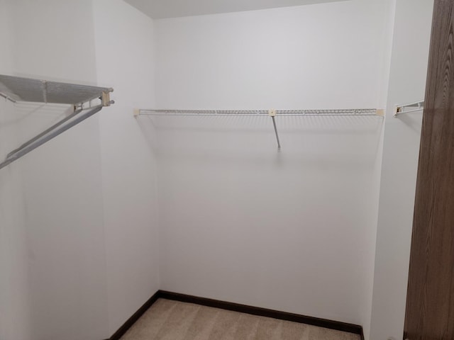 1744 Eastwood Ct Unit 9, Schaumburg, IL 60195 - walk in closet with light carpet
