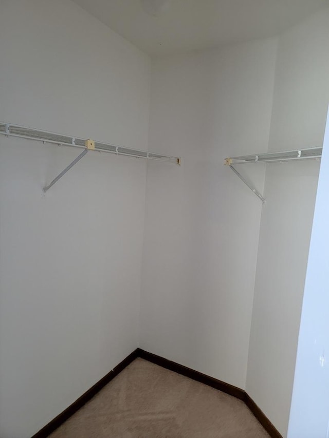 1744 Eastwood Ct Unit 9, Schaumburg, IL 60195 - spacious closet with light carpet