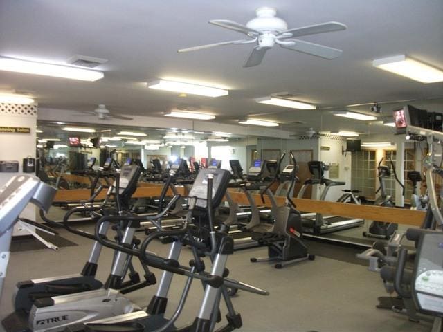 1744 Eastwood Ct Unit 9, Schaumburg, IL 60195 - workout area with ceiling fan