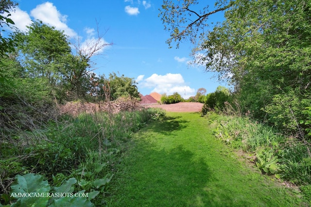 2N562 Atlantic Dr, West Chicago, IL 60185 - view of green lawn