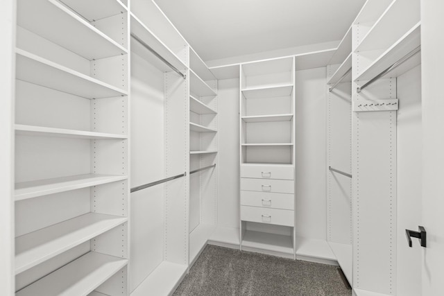 1468 W Grand Haven Rd, Romeoville, IL 60446 - walk in closet with dark carpet
