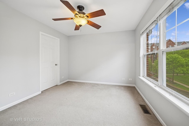 412 W Wood St, Palatine, IL 60067 - carpeted spare room with baseboards and a ceiling fan