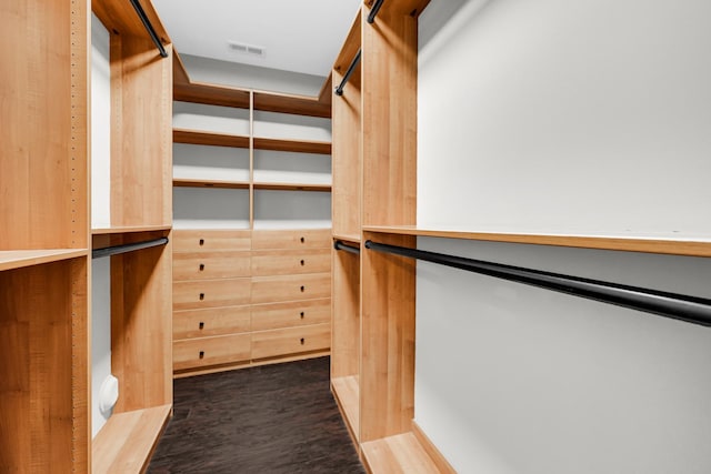 10 Millbrook Ct, Algonquin, IL 60102 - spacious closet with dark wood-type flooring