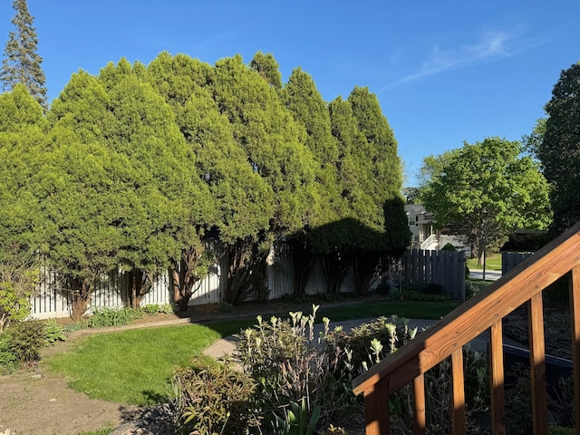 view of yard