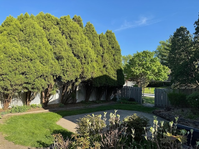 view of yard featuring a patio area