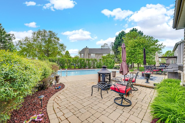 view of pool featuring a grill, a patio, and outdoor dining space