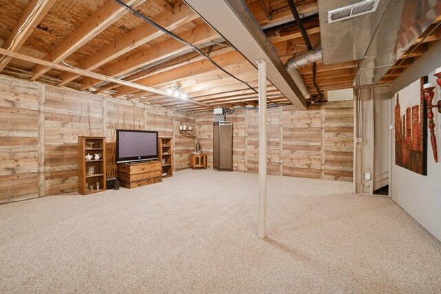 718 Northgate Dr, Sycamore, IL 60178 - unfinished below grade area with carpet flooring and wooden walls