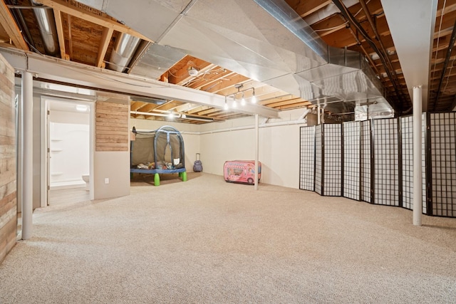 718 Northgate Dr, Sycamore, IL 60178 - unfinished below grade area featuring carpet floors