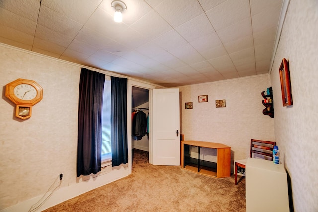 218 W Fleming St, Watseka, IL 60970 - bedroom with carpet, crown molding, a closet, and a walk in closet