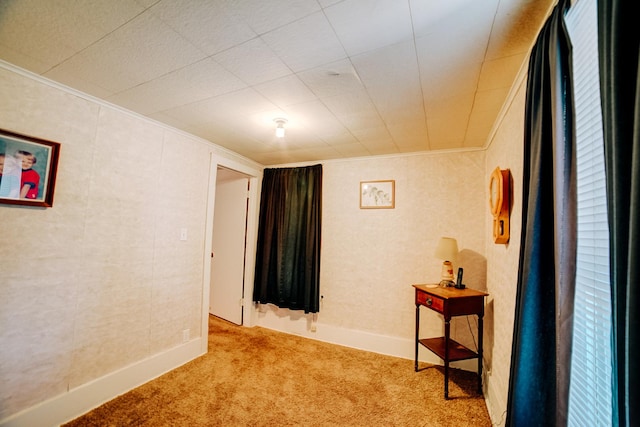 218 W Fleming St, Watseka, IL 60970 - carpeted spare room featuring ornamental molding and baseboards