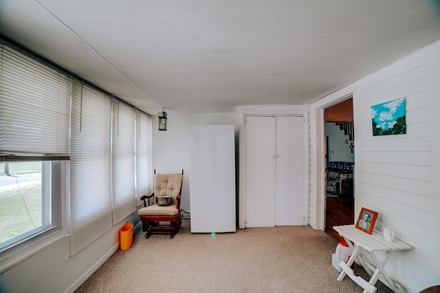 218 W Fleming St, Watseka, IL 60970 - living area featuring carpet