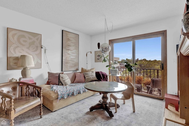 724 12th St Unit 303, Wilmette, IL 60091 - living room featuring a textured ceiling and carpet flooring