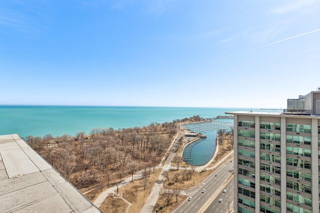 3600 N Lake Shore Dr Unit 517, Chicago, IL 60613 - water view