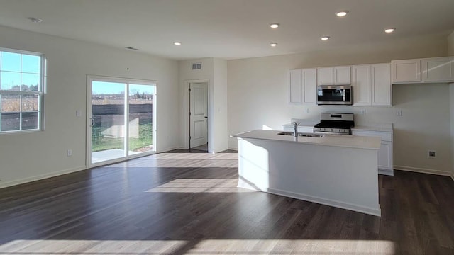 6467 Juniper Dr, Wonder Lake, IL 60097 - kitchen with appliances with stainless steel finishes, a sink, white cabinets, wood finished floors, and a center island with sink
