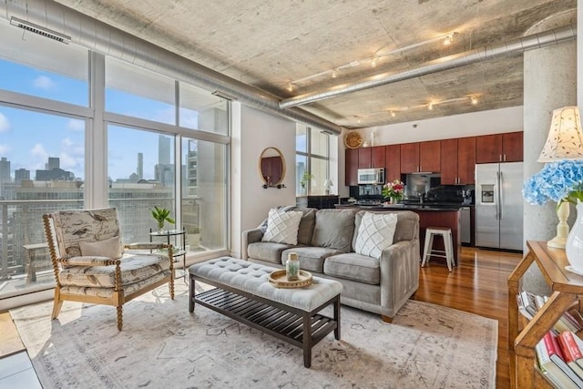 living room featuring a view of skyline and light wood-style flooring
